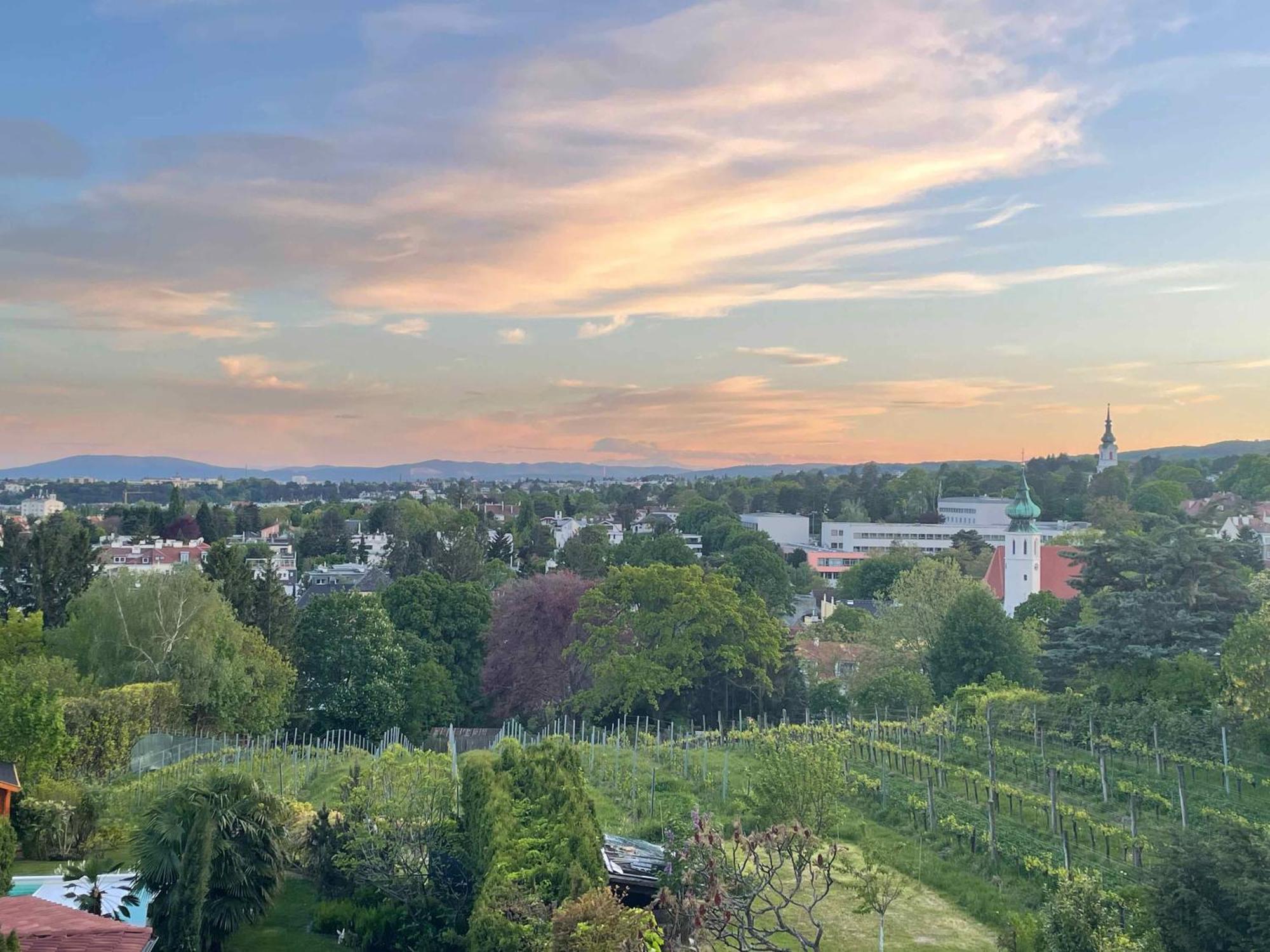 Herrlicher Ausblick Ueber Wien Ngoại thất bức ảnh