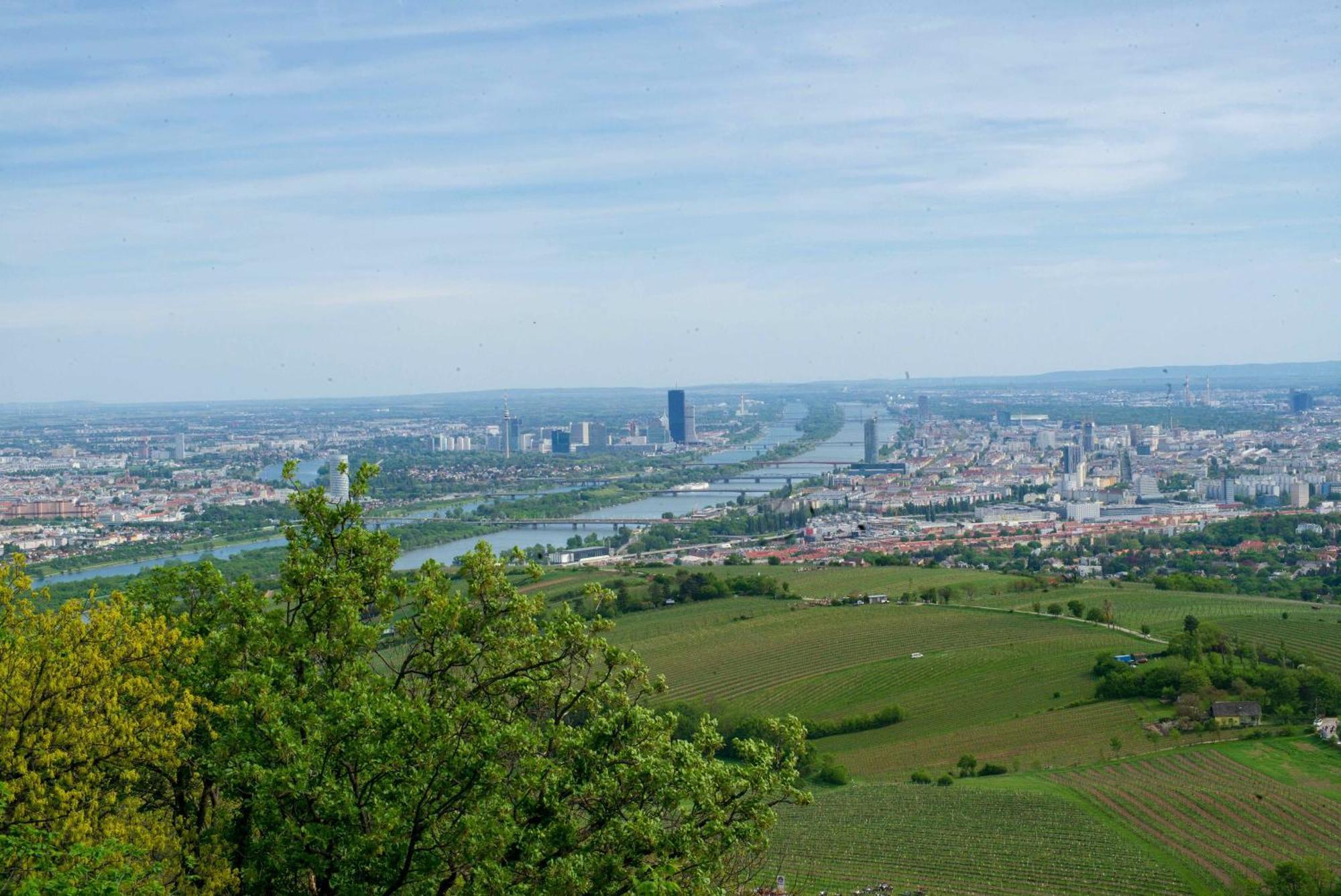 Herrlicher Ausblick Ueber Wien Ngoại thất bức ảnh