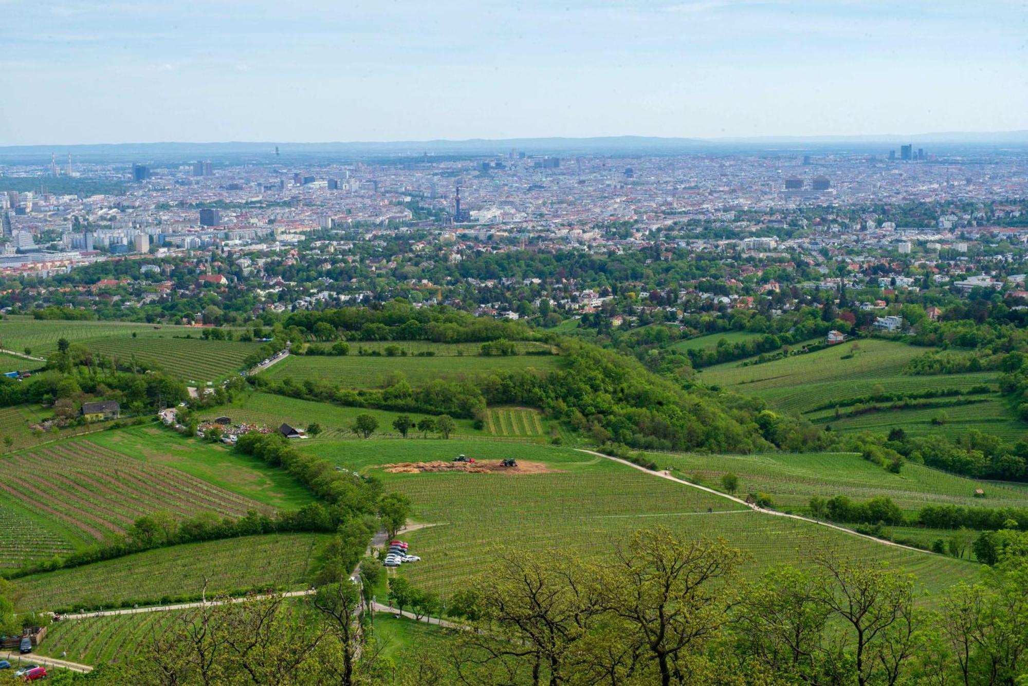 Herrlicher Ausblick Ueber Wien Ngoại thất bức ảnh